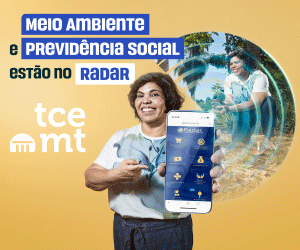 12 á 29 – Banner Lateral – TCE Lateral – PI 48696