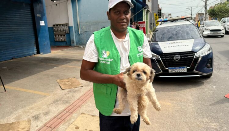 WhatsApp Image 2025-10-09 at 15.18.10