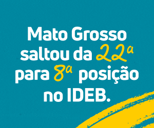 15 á 31 – Banner Lateral – GOV MT – PI 12627