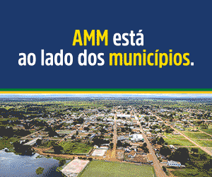 05 á 24 – Banner Lateral – AMM – PI 87263