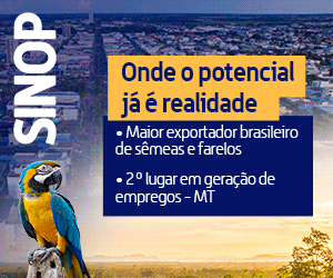 10 á 30 – Banner LATERAL – pref de Sinop – PI 22305