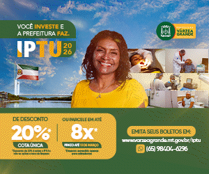 04 á 31 – Banner LATERAL – pref de VG – PI 88385