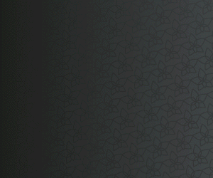 ecovita construtora VILAGIO 300X250