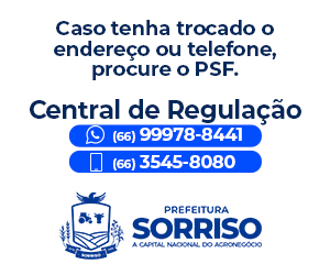 01 á 11/06 – Banner Lateral – Sorriso – PI 56156
