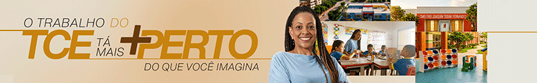 13 á 31 – Banner TOPO – TCE – PI 91795