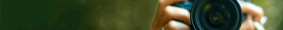 26 á 31/10 – Banner TOPO – ALMT – PI 59320